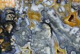 Spectacular, Free-Standing Polished Marcasite Agate - Indonesia #360468-2